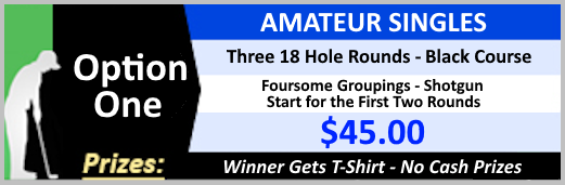 Option-1-Amateur