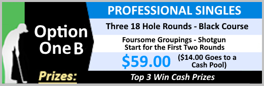 Option-1B-Professional